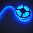 amiciVision 4040 Blue Color LED Strip Light | 5m Long, 60 LED/Meter with 2 Amp Driver and Blinker