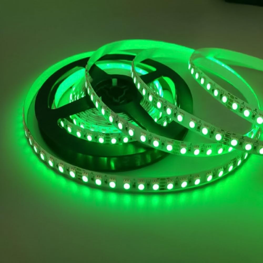 amiciVision 4040 Green Color LED Strip Light | 5m Long, 60 LED/Meter with 2 Amp Driver and Blinker