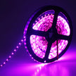 amiciVision 4040 Purple Color LED Strip Light | 5m Long, 60 LED/Meter with 2 Amp Driver and Blinker